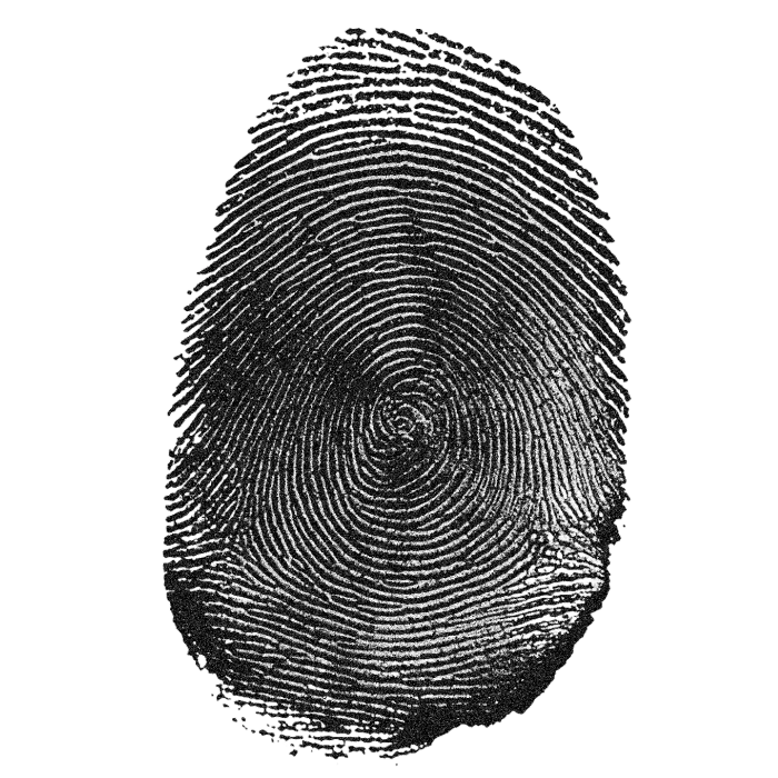 Duende Fingerprint